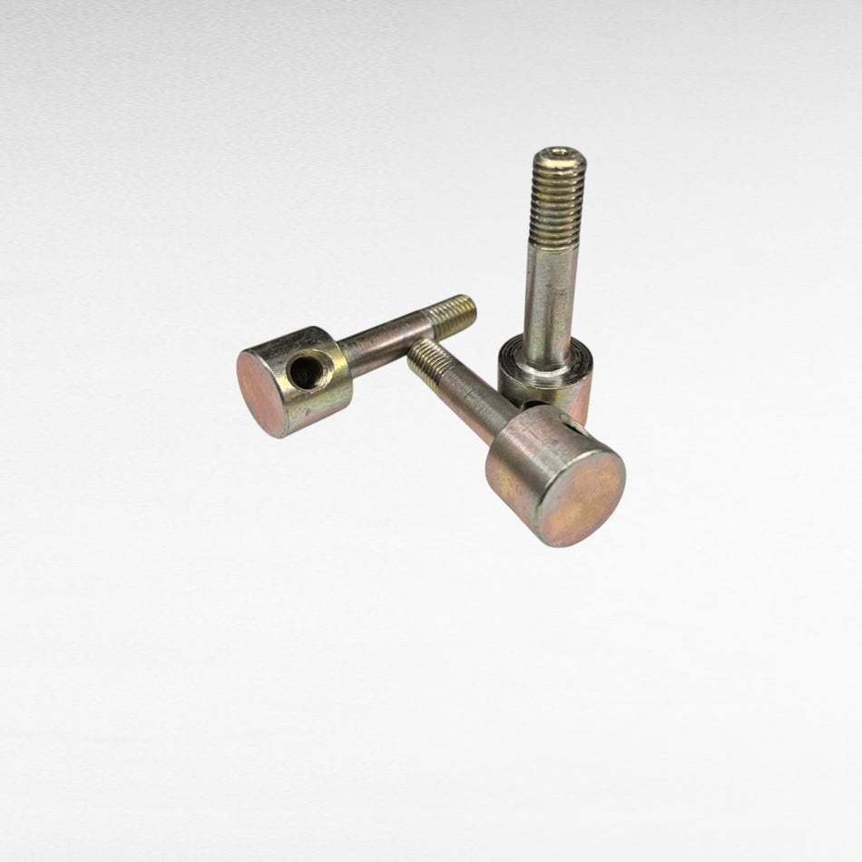 300015652 VITE PER MIETITREBBIA LAVERDA