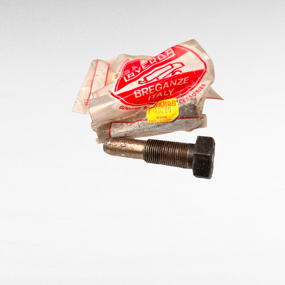 300110289 PERNO PER MIETITREBBIE LAVERDA NEW HOLLAND