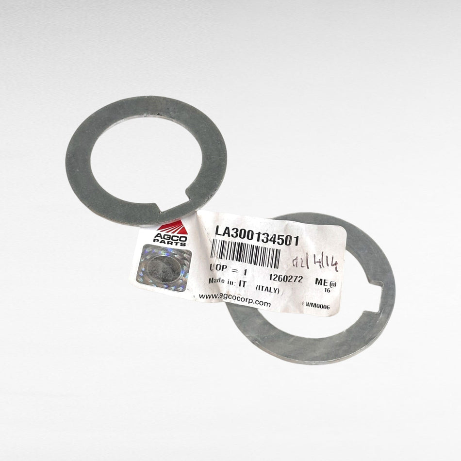 300134501 ROSETTA PIANA PER MIETITREBBIE LAVERDA AGCO