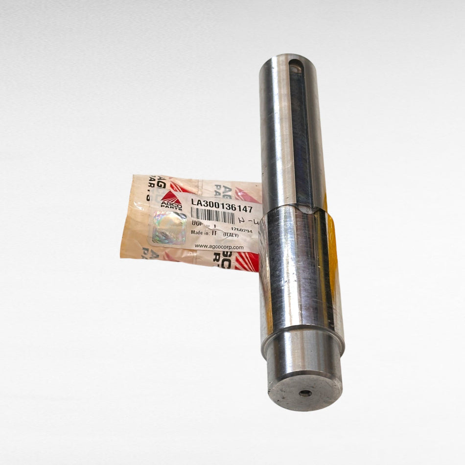 300136147 ALBERO PER MIETITREBBIE LAVERDA, AGCO