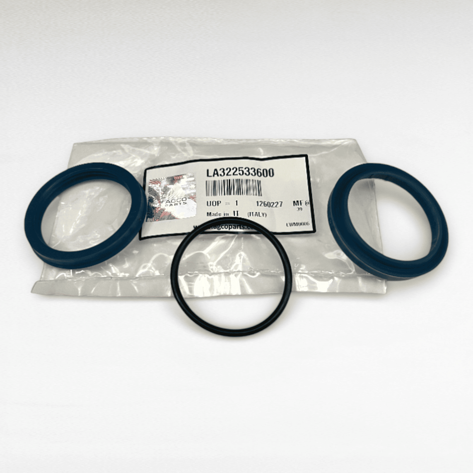 322533600 SERIE GUARNIZIONI PER MARTINETTO PER MIETITREBBIE LAVERDA