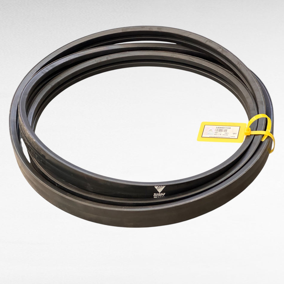344311134 CINGHIA DELLE COCLEE MIETITREBBIE LAVERDA