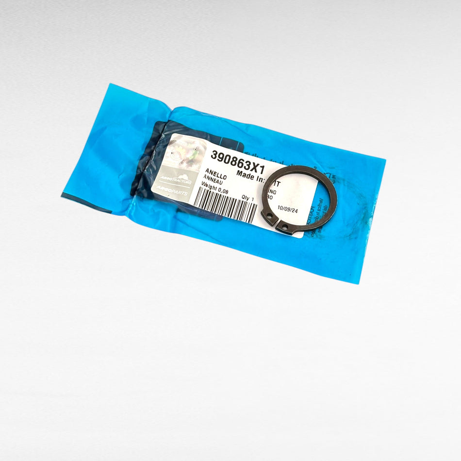 390863X1 ANELLO PER SOLLEVAMENTO BRACCI LANDINI