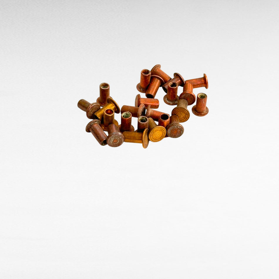 650347 RIVETTO GOLDONI