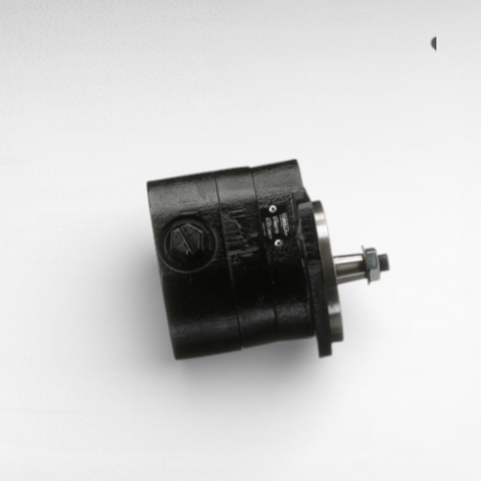 87460719 POMPA IDRAULICA PER MINI PALE CASE IH