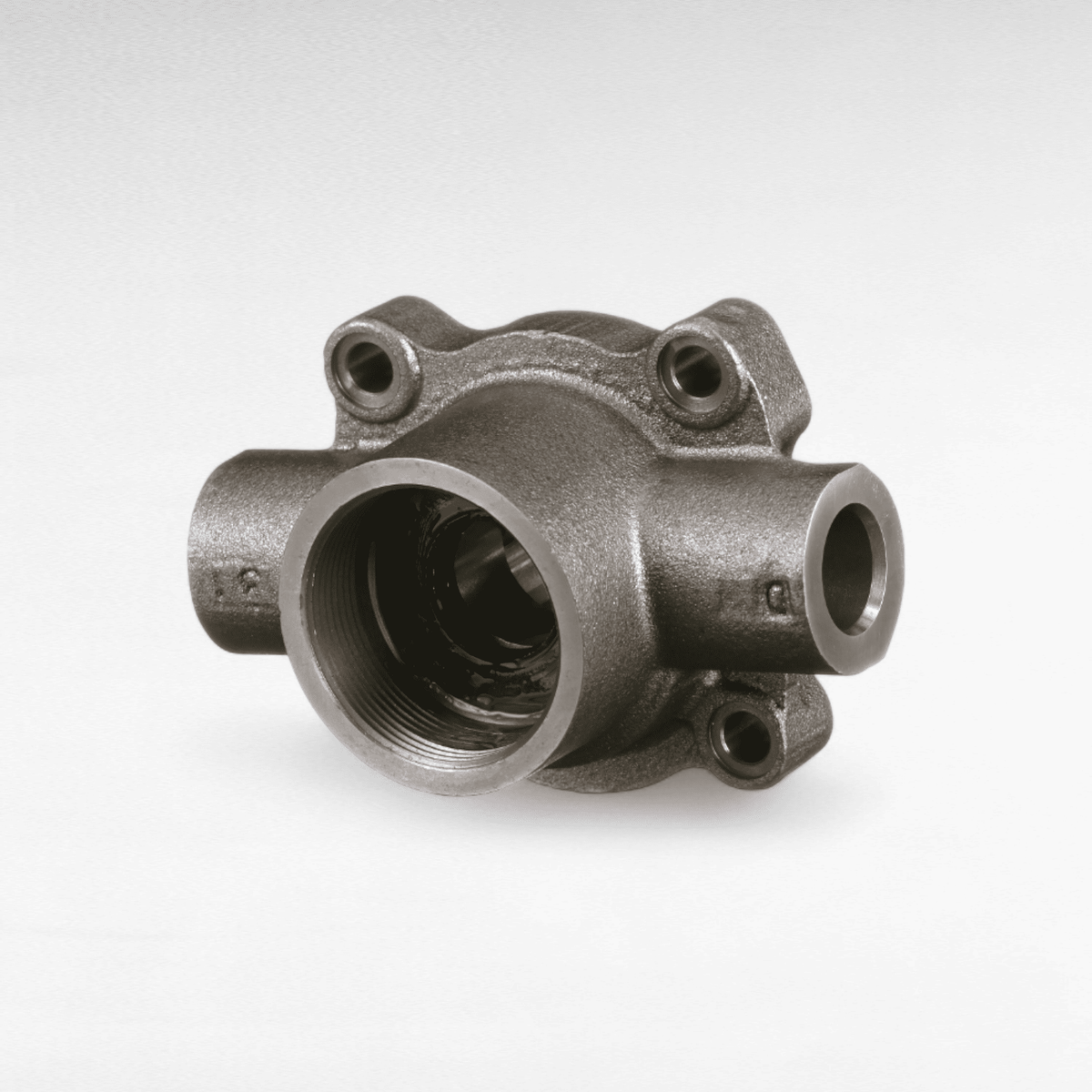 pompa idrostatica della trasmissione